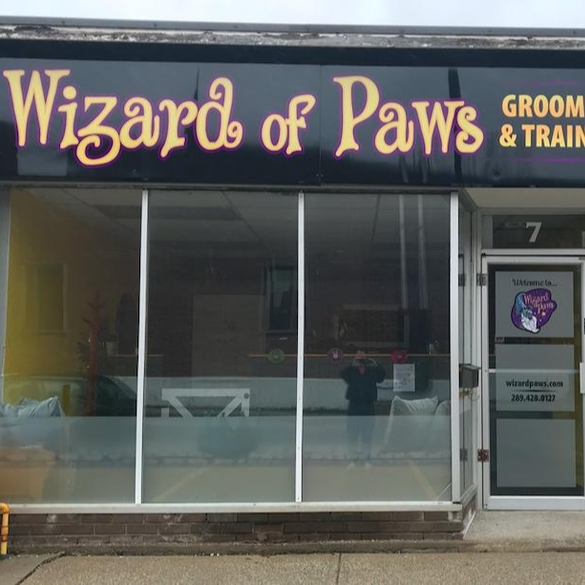 Wizard of Paws